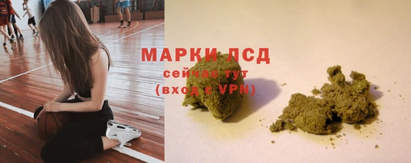 гашик Медногорск