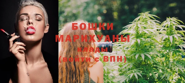 гашик Медногорск