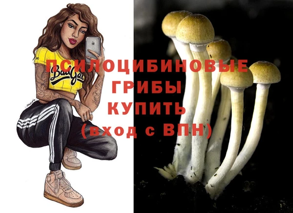 ECSTASY Медвежьегорск