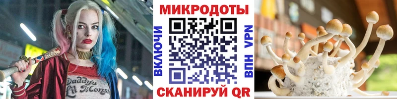 Галлюциногенные грибы мухоморы  купить закладку  Чаплыгин 